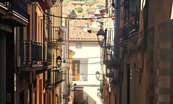 ALCORISA_05
