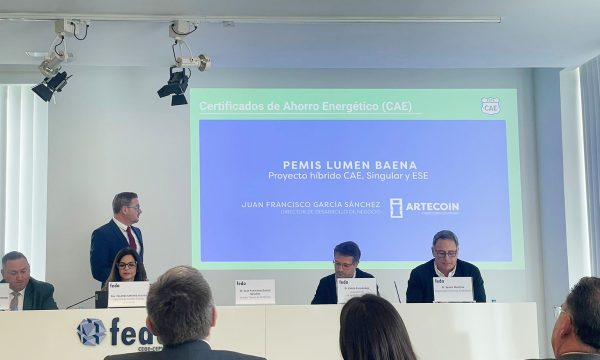 ARTECOIN_Soluciones_eficientes_FEDA_4