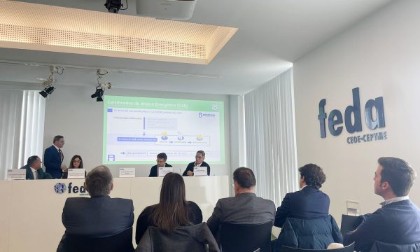 ARTECOIN_Soluciones_eficientes_FEDA_6