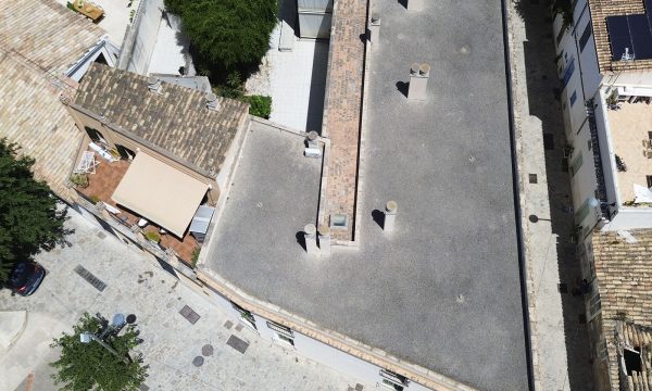 ED_C_ALMADRAVA_PALMA_02